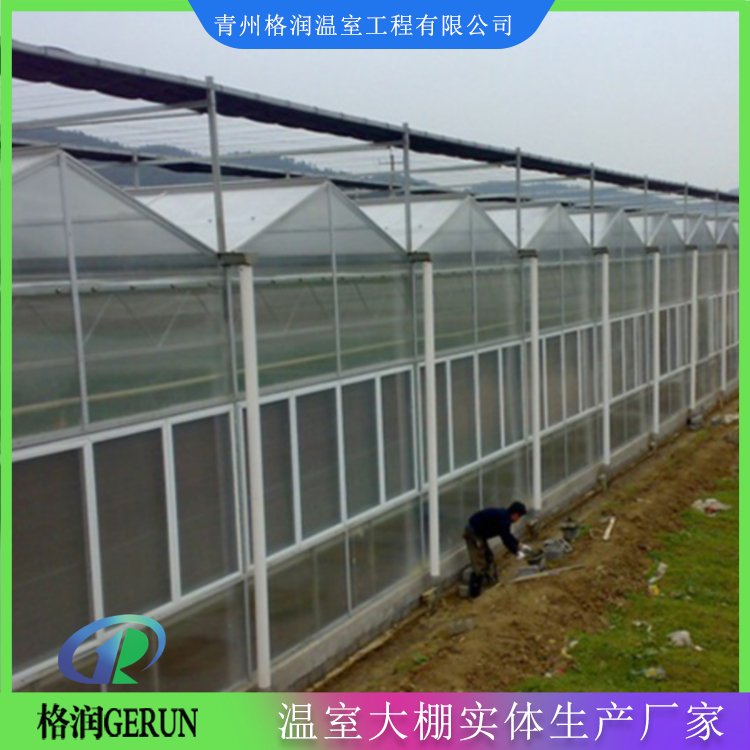 山东阳光板温室大棚建设